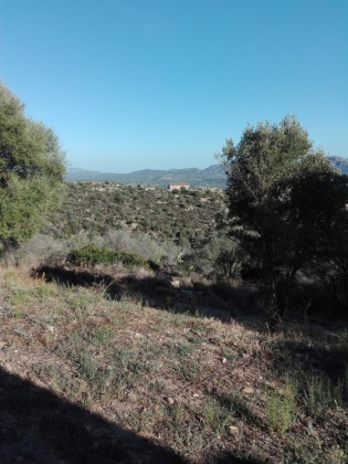 Olbia, ,Farmhouse,For Sale,1030